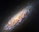 materia oscura, neutrinos, ANTARES, KM3NeT, IFIC, 